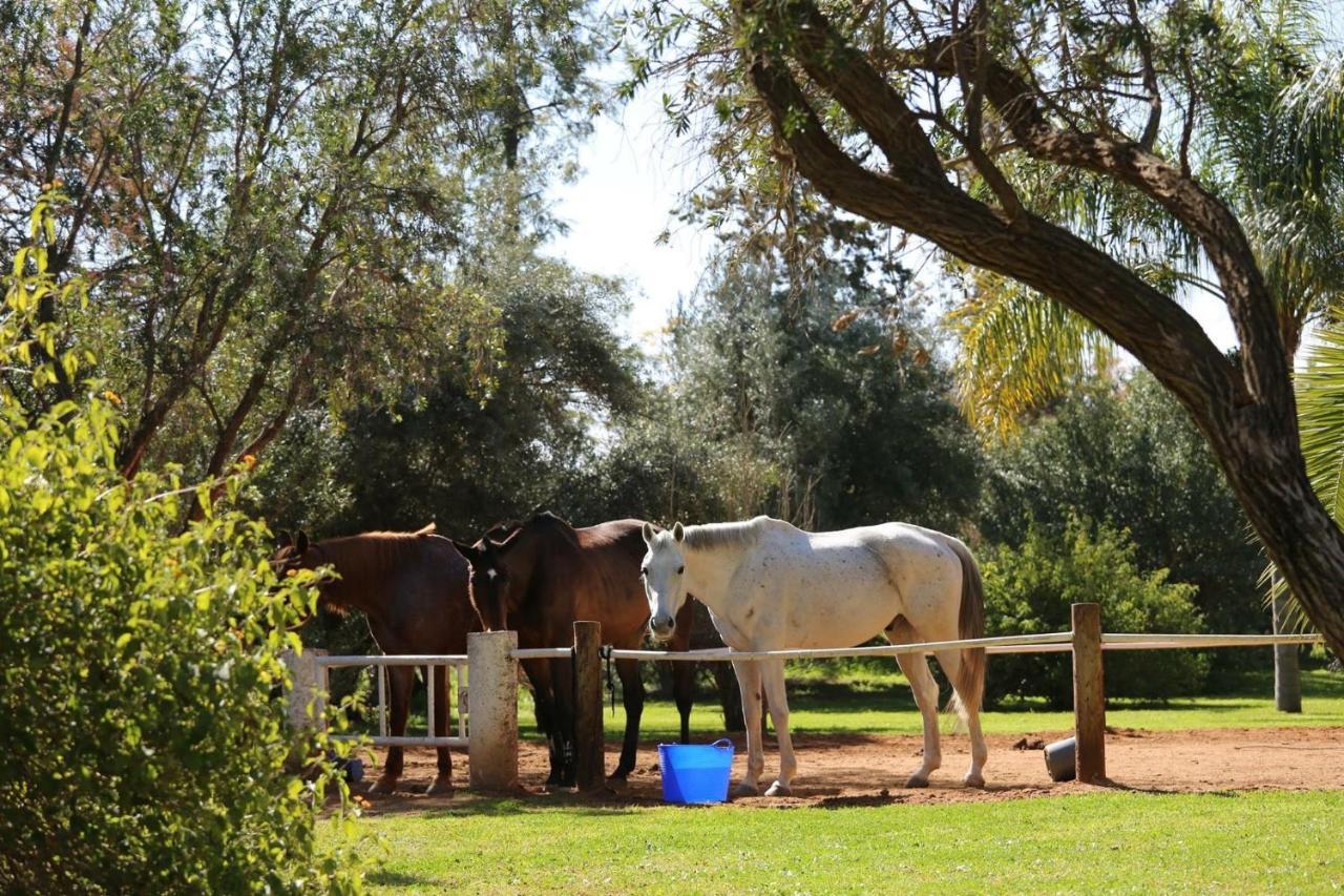 La Vie En Rose - Horses & Dogs House Bed and Breakfast Aït Hamid Εξωτερικό φωτογραφία