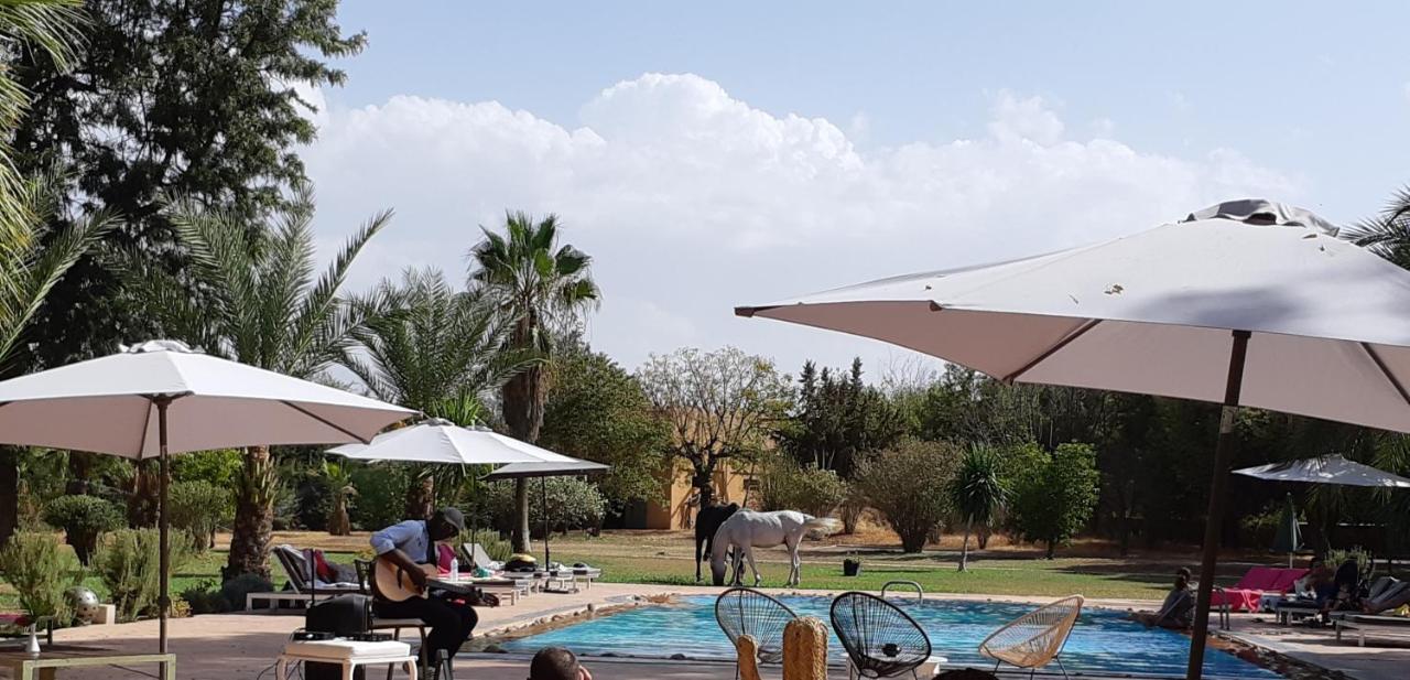 La Vie En Rose - Horses & Dogs House Bed and Breakfast Aït Hamid Εξωτερικό φωτογραφία