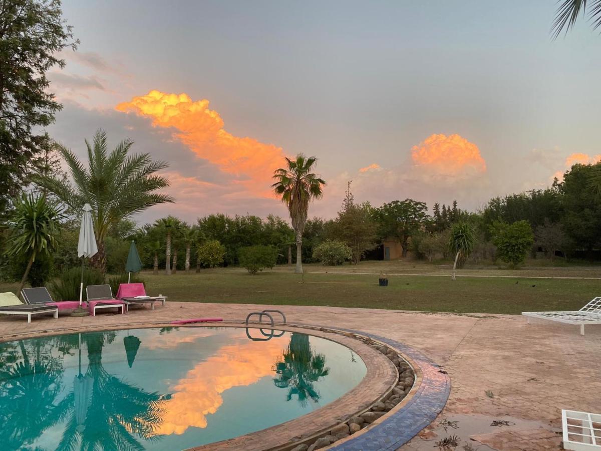 La Vie En Rose - Horses & Dogs House Bed and Breakfast Aït Hamid Εξωτερικό φωτογραφία