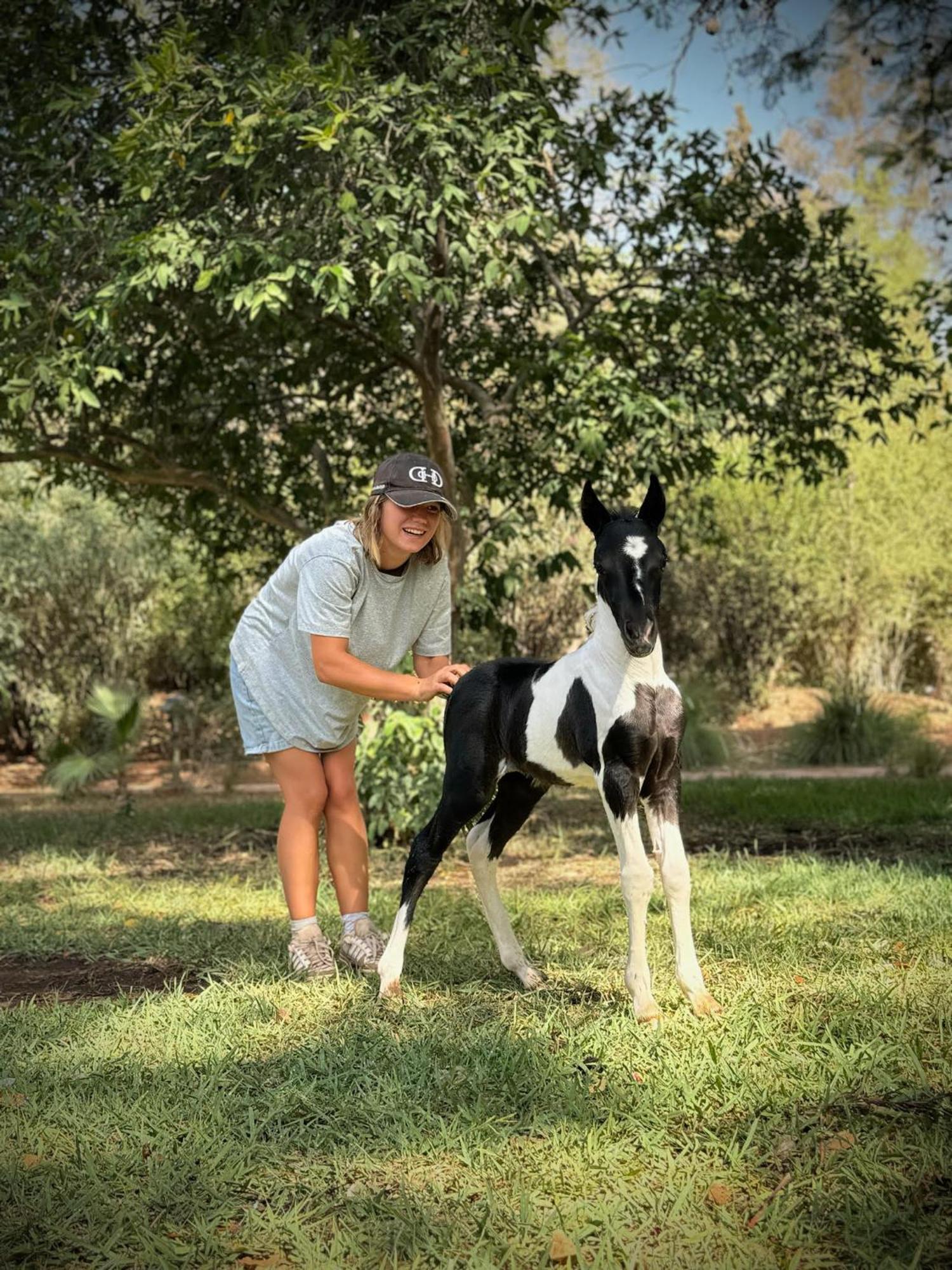 La Vie En Rose - Horses & Dogs House Bed and Breakfast Aït Hamid Εξωτερικό φωτογραφία