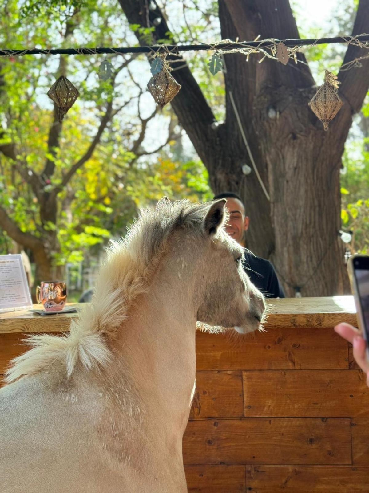 La Vie En Rose - Horses & Dogs House Bed and Breakfast Aït Hamid Εξωτερικό φωτογραφία